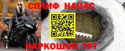 крисы Баксан